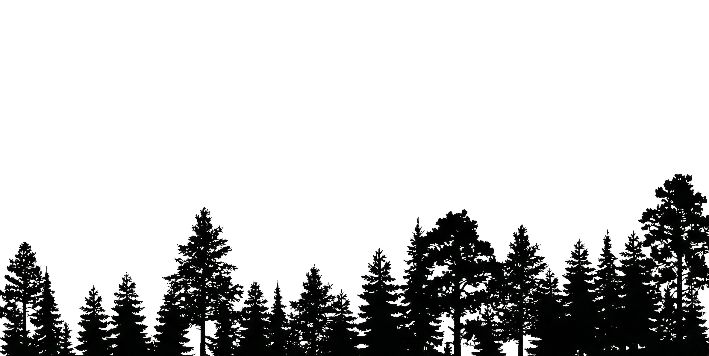 Forest Silhouette